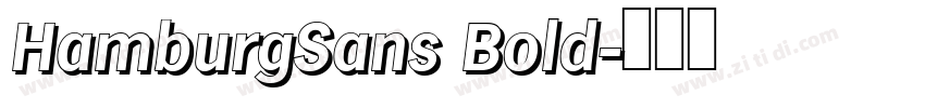 HamburgSans Bold字体转换